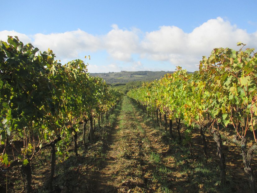 Chianti-1 2016 - 056